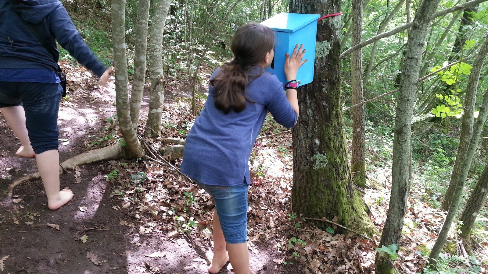Attività a tappe nel bosco